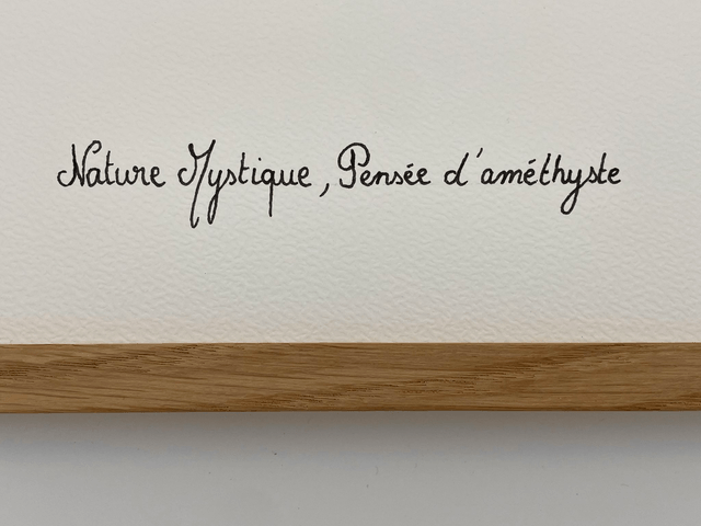 Herbier Pensée d'améthyste