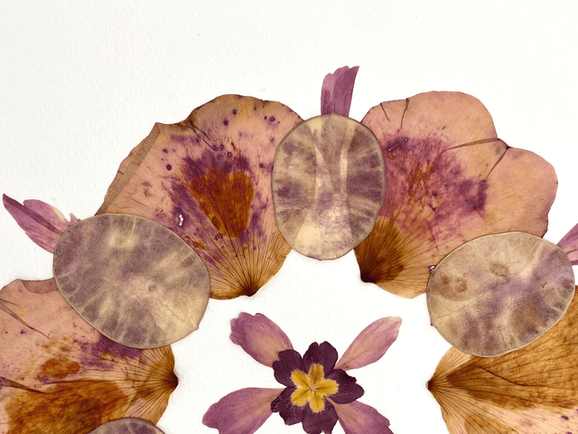 Herbier Souffle d'amour 