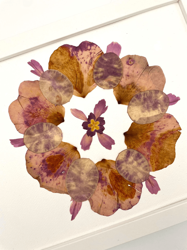 Herbier Souffle d'amour 