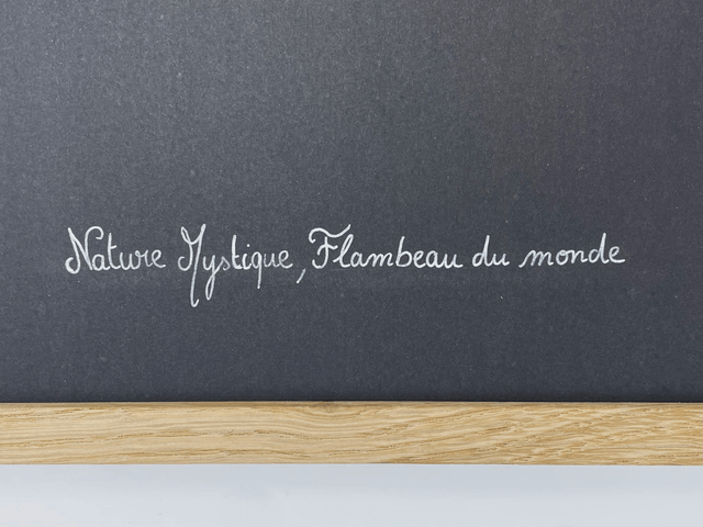 Herbier Flambeau du monde