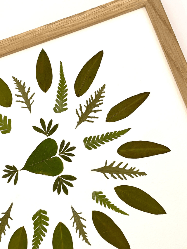 Herbier Cœur des bois