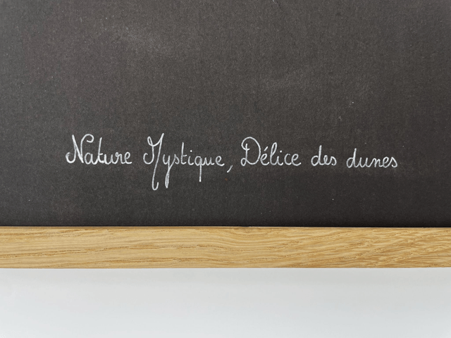 Herbier Délice des dunes