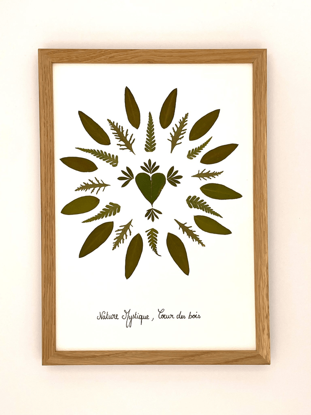 Herbier Cœur des bois