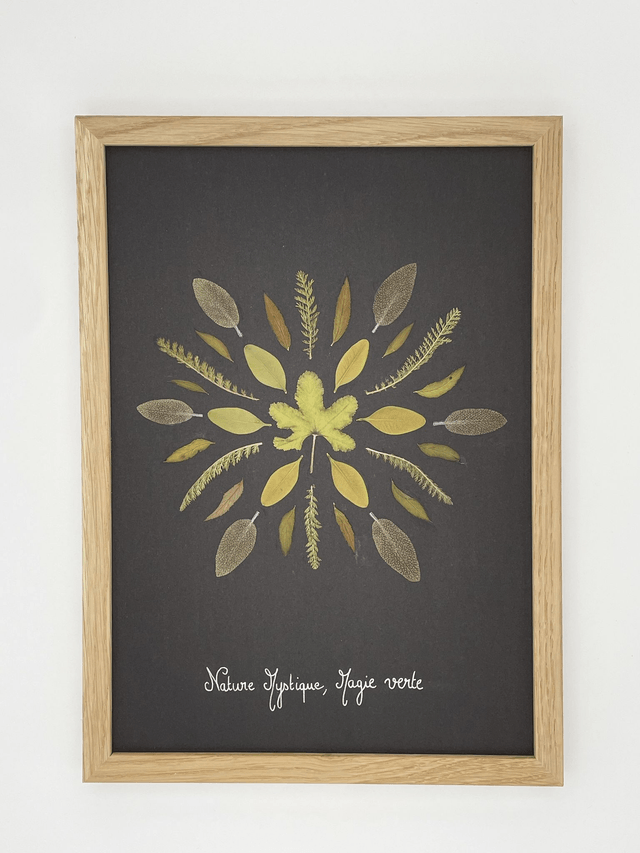 Herbier Magie verte