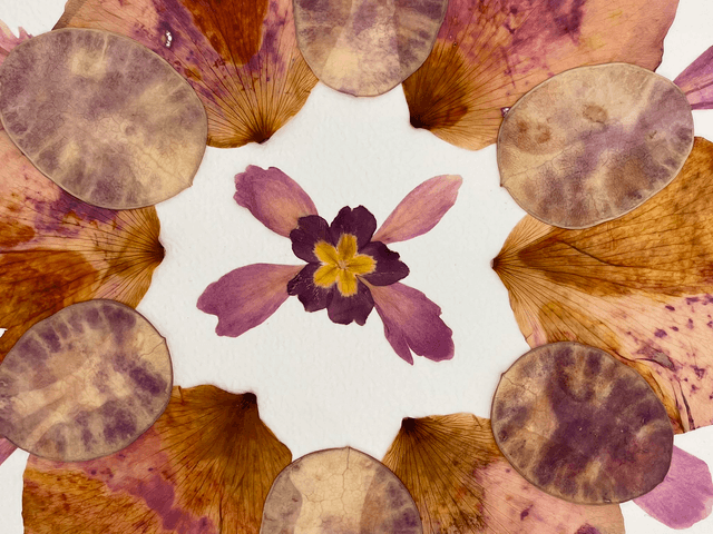 Herbier Souffle d'amour 