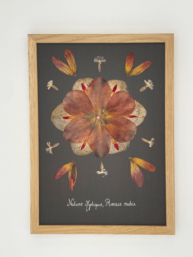 Herbier Rosace Rubis