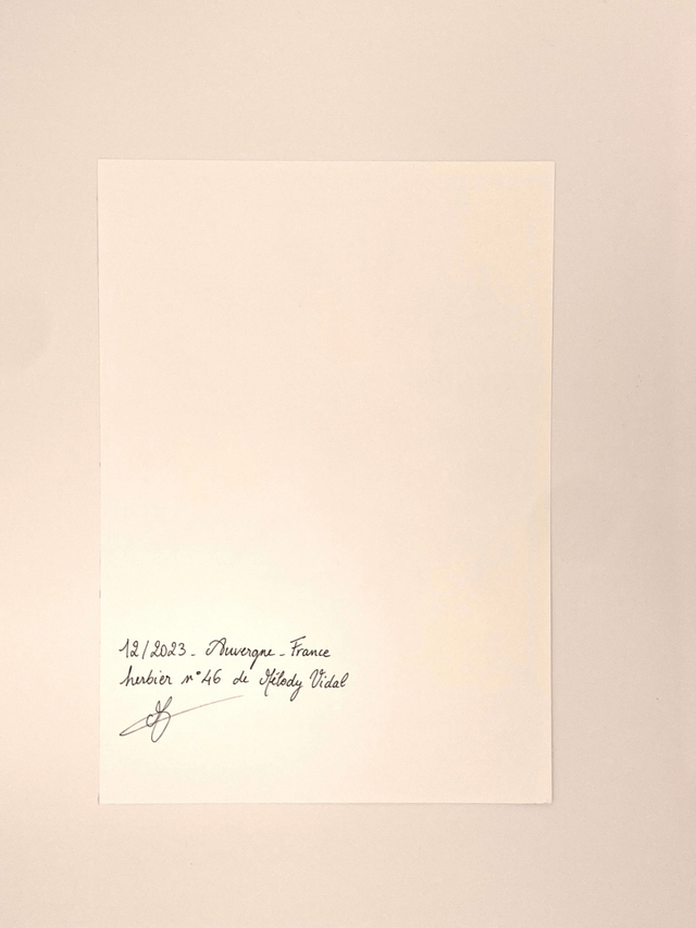 Herbier Cœur des bois