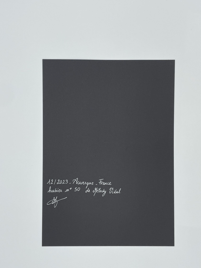 Herbier Rosace Rubis