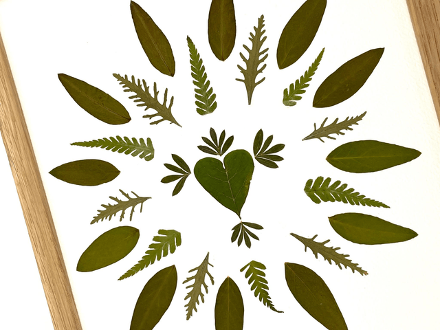 Herbier Cœur des bois